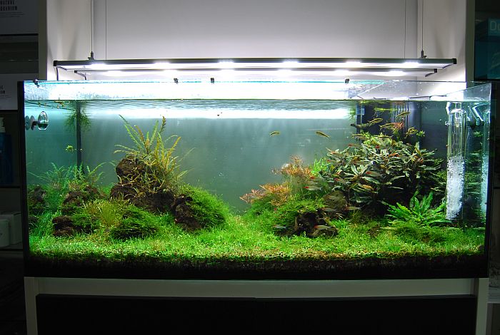 AquarienGalerie