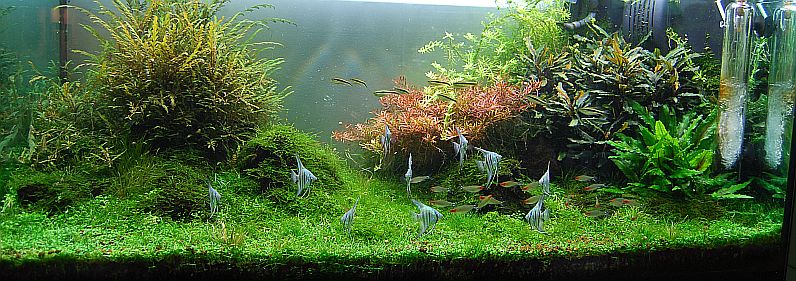 AquarienGalerie