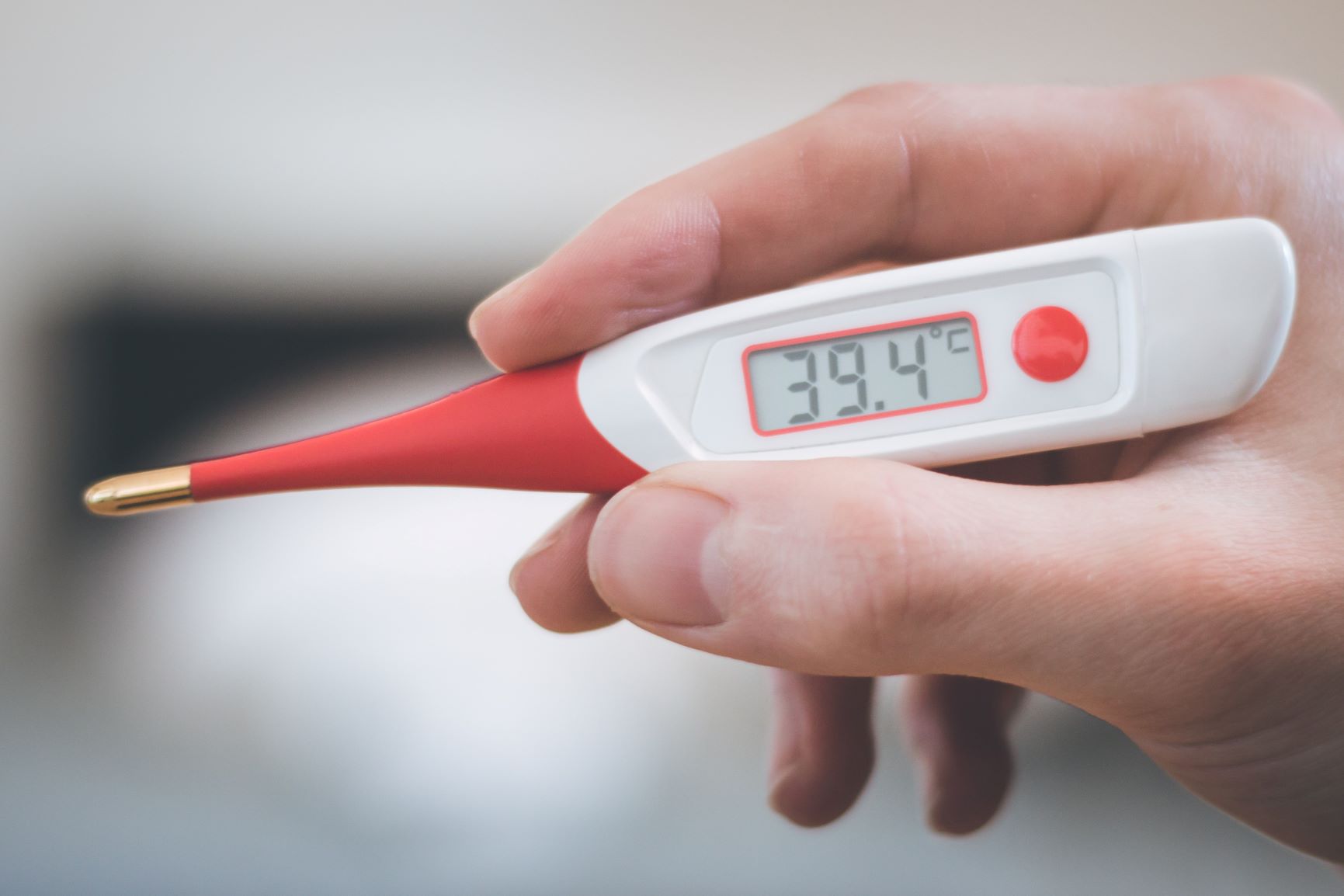 Fieber beim Hund (Pyrexie) Symptome, Diagnose & Behandlung zooplus