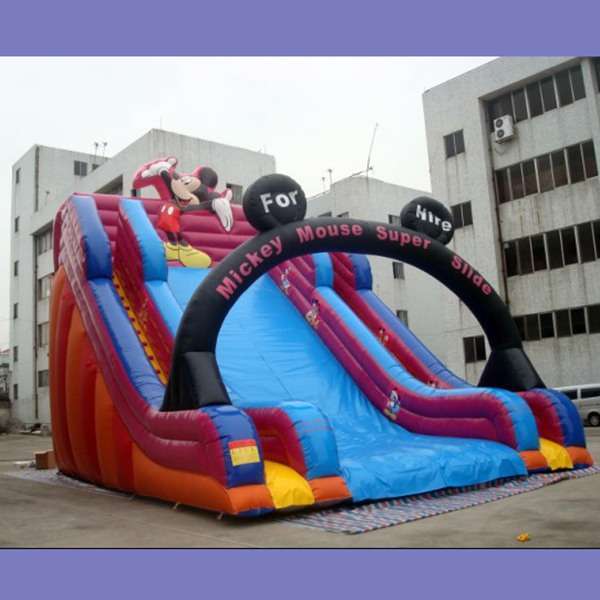Inflatable Slide Wholesale Large Inflatable Slides for Children