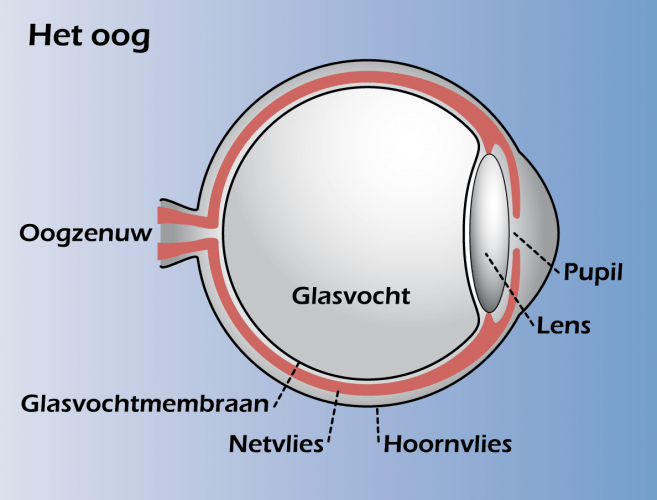 Lichtflitsen - Zorgsaam