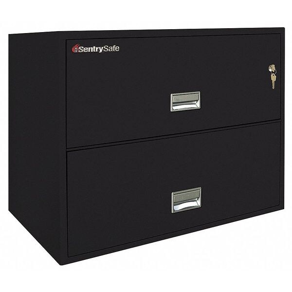 Sentry Safe 2 Drawer FireResistant Filing Black, Letter/Legal