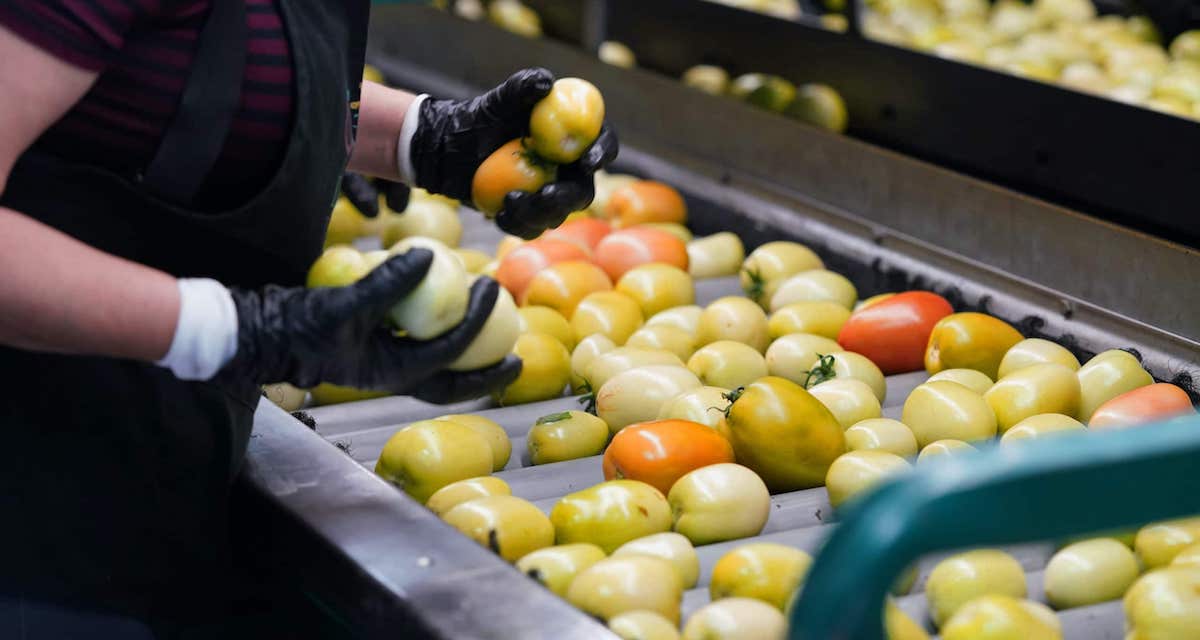 Getting Guidance on the Produce Safety Rule Zosi Learning