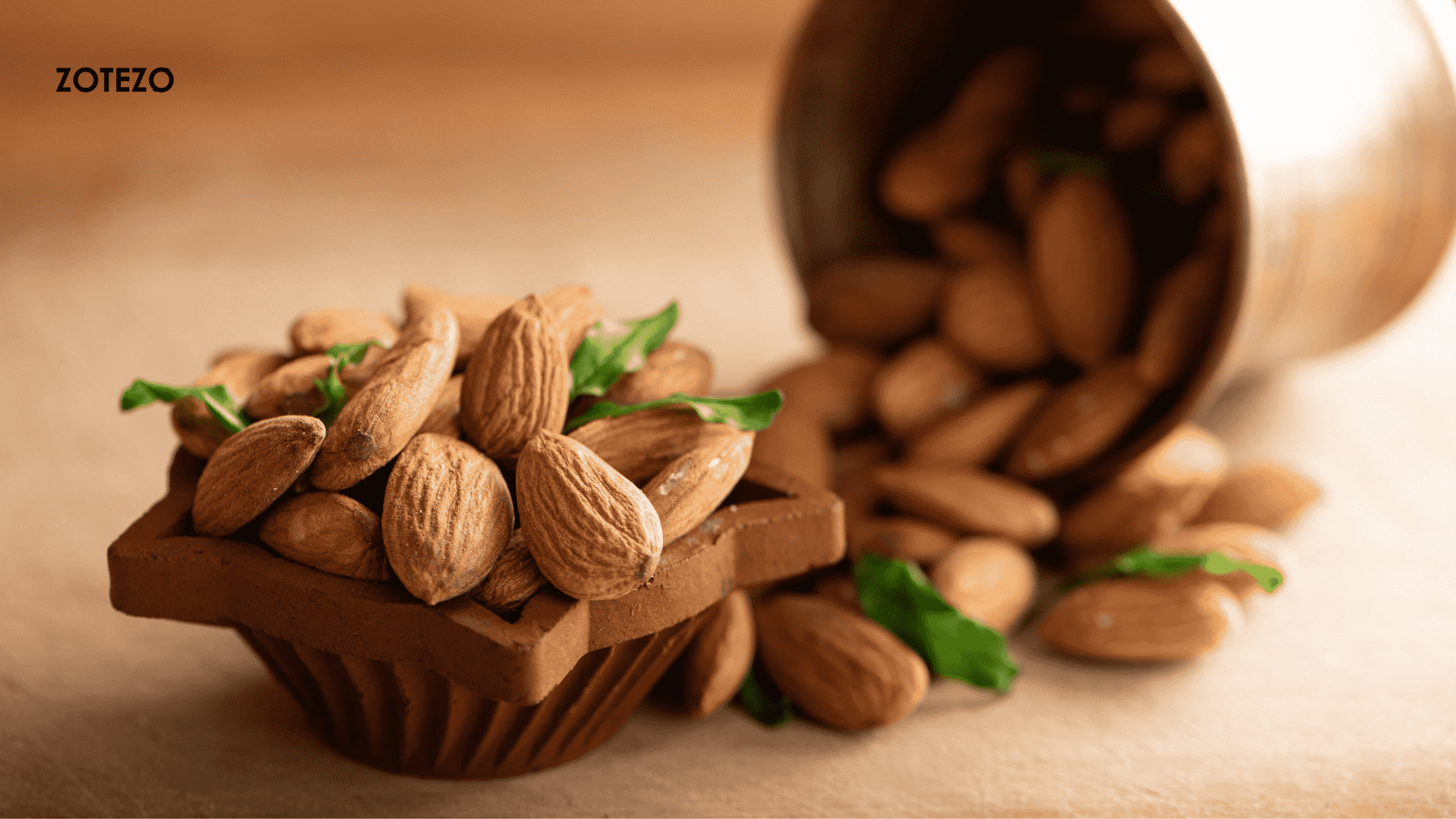 7 Best Almond of 2024 in USA, According To Experts