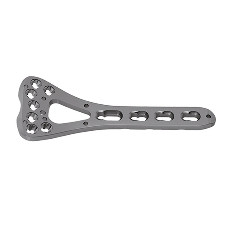Variable Angle Distal Radius Palm Locking Plate â…¡