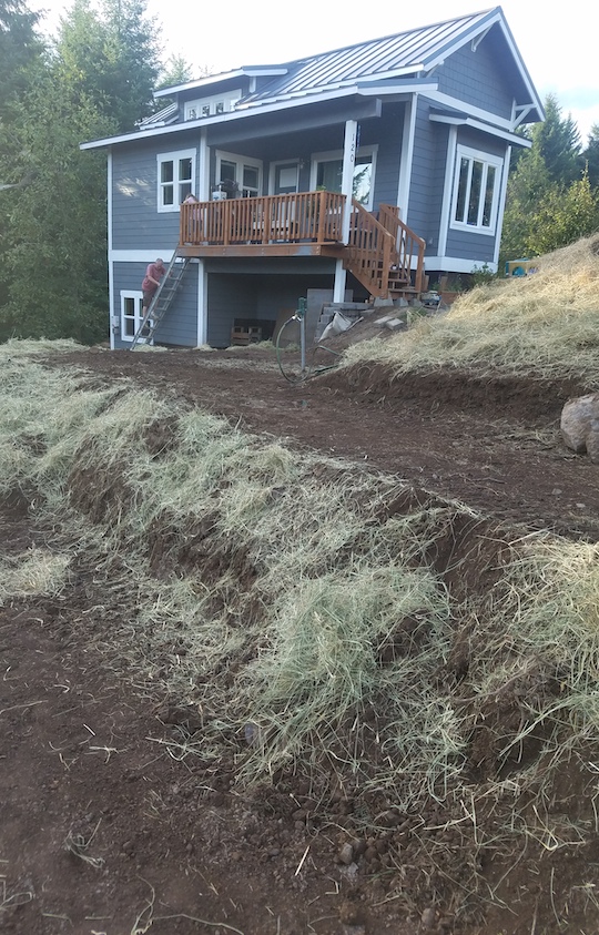 Services Zumstein Landscaping