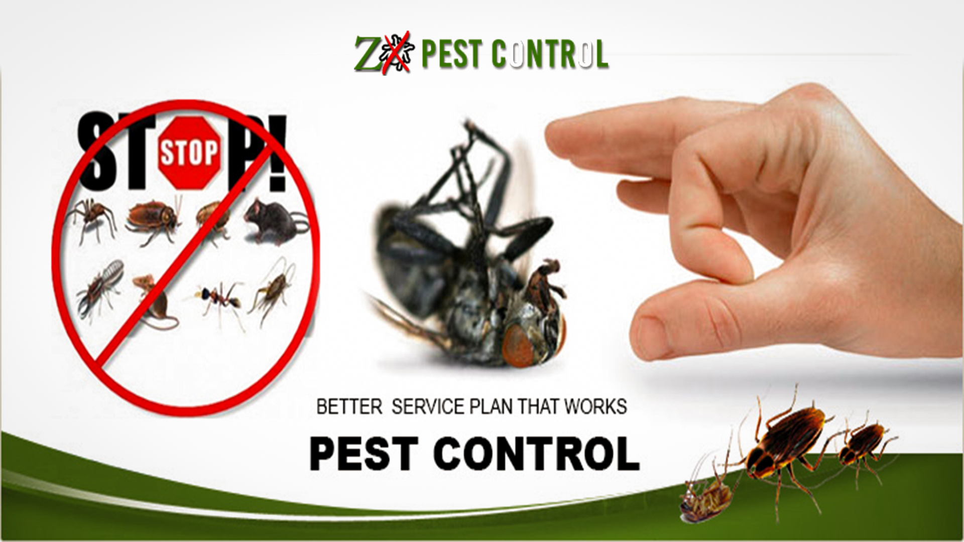 Hire the Best Pest Control Services Noida ZX Pest Control