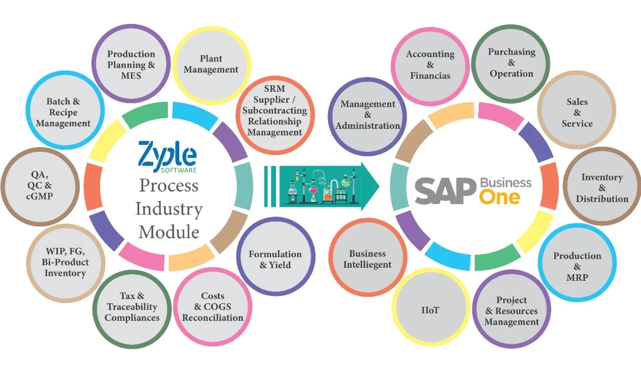 SAP Business One in Process Industries Zyple Software