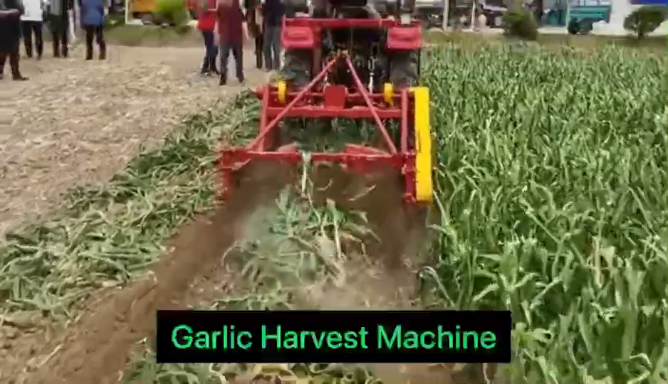 Garlic Splitter Agro Machine Manufacturer