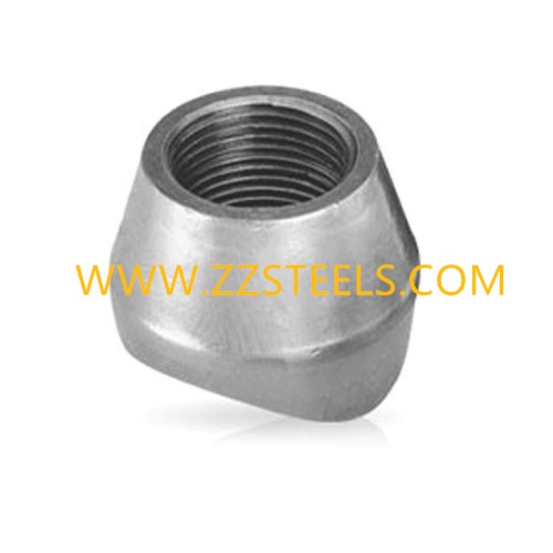 ASTM A105 Threadolet Supplier of Quality FittingsFlanges