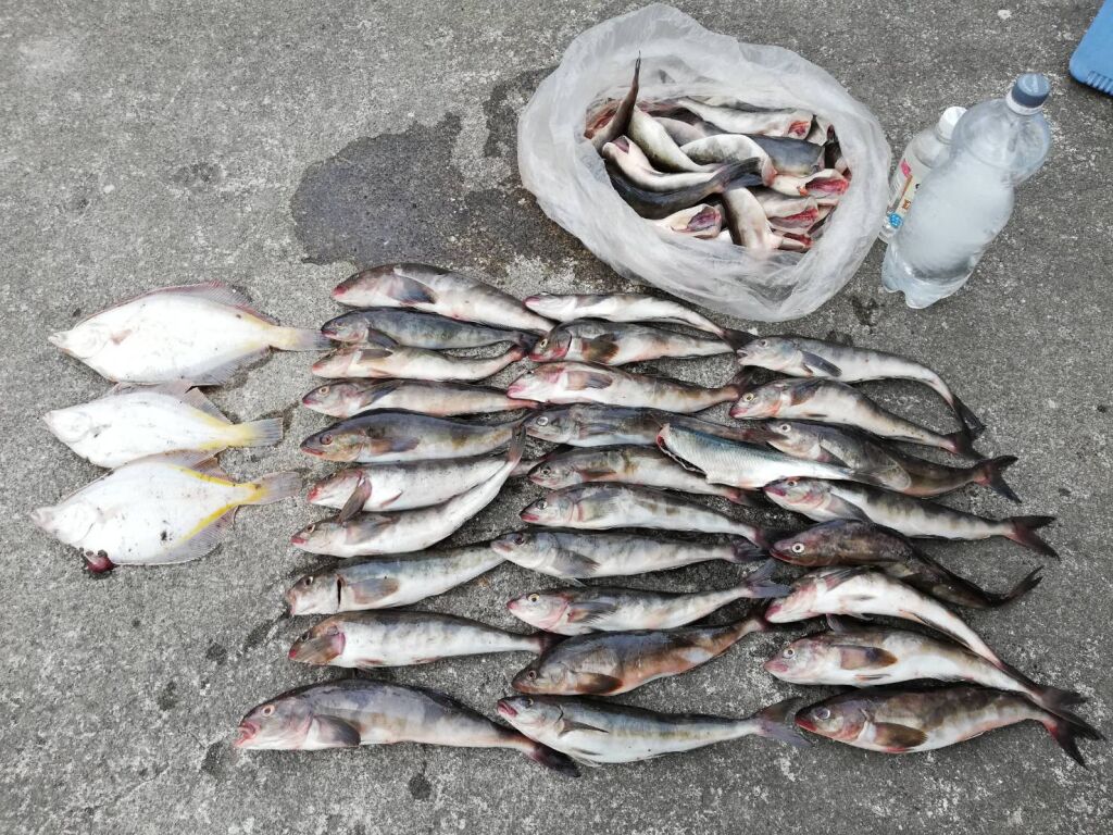 札幌釣果報告 釣り掲示板