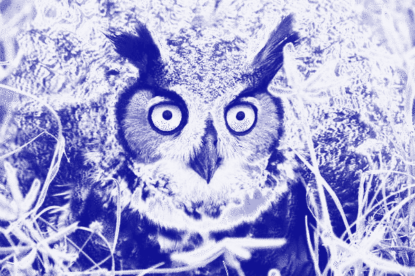 Top 10 Tools To Change Color of Imageundefined VanceAI