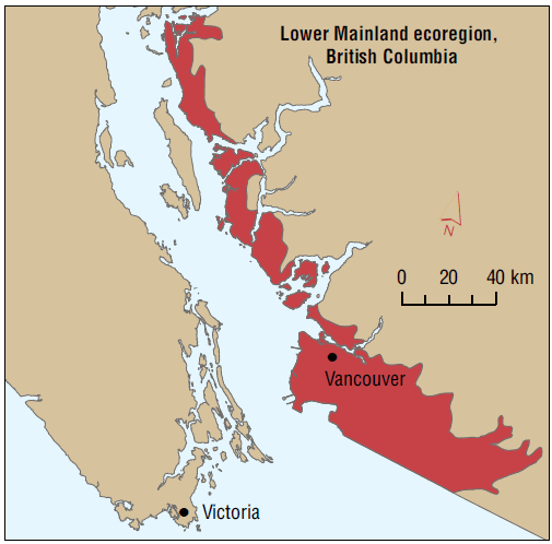 Map Of Lower Bc B.c.'s Lower Mainland
