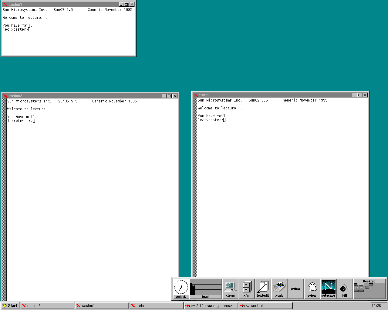 Customizing the X Window System