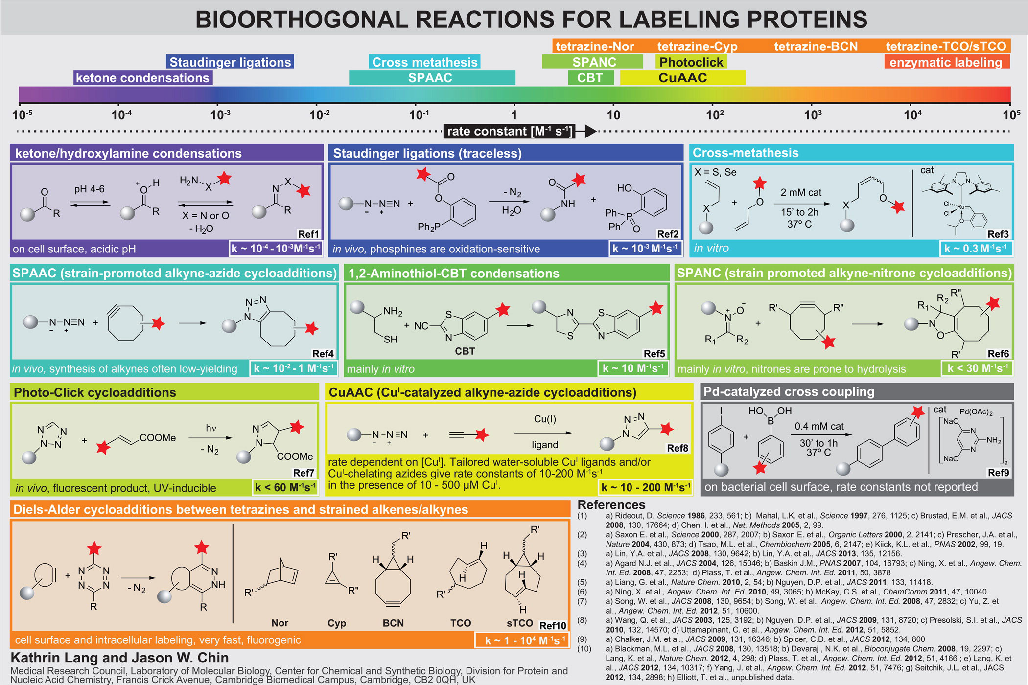 Protein labeling and imaging