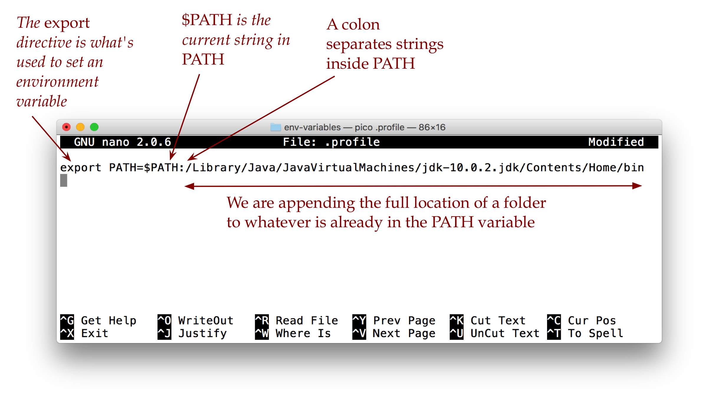 Environment variables