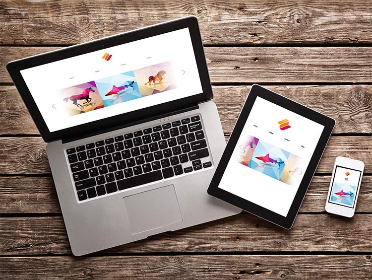 How to Make a Design Portfolio Shutterstock