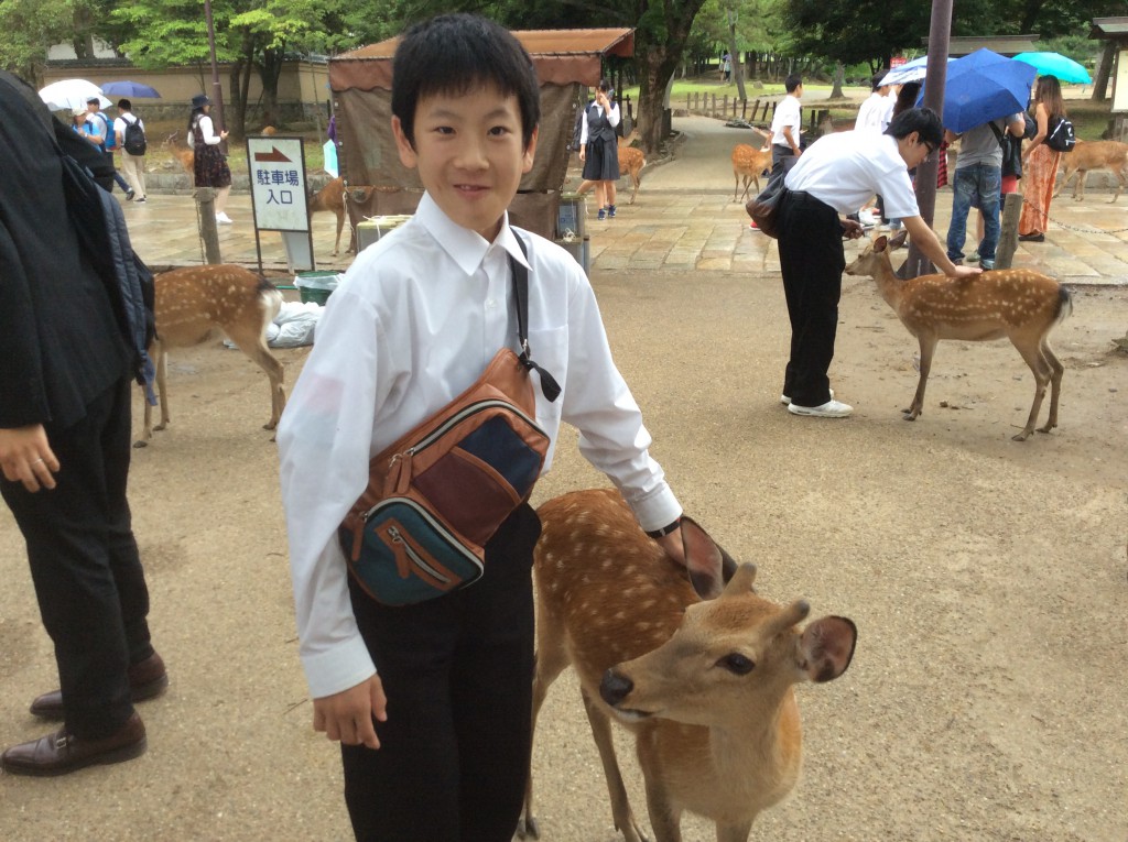 奈良公園自由行動(修学旅行) « 鹿嶋市立高松中学校 Let's make together