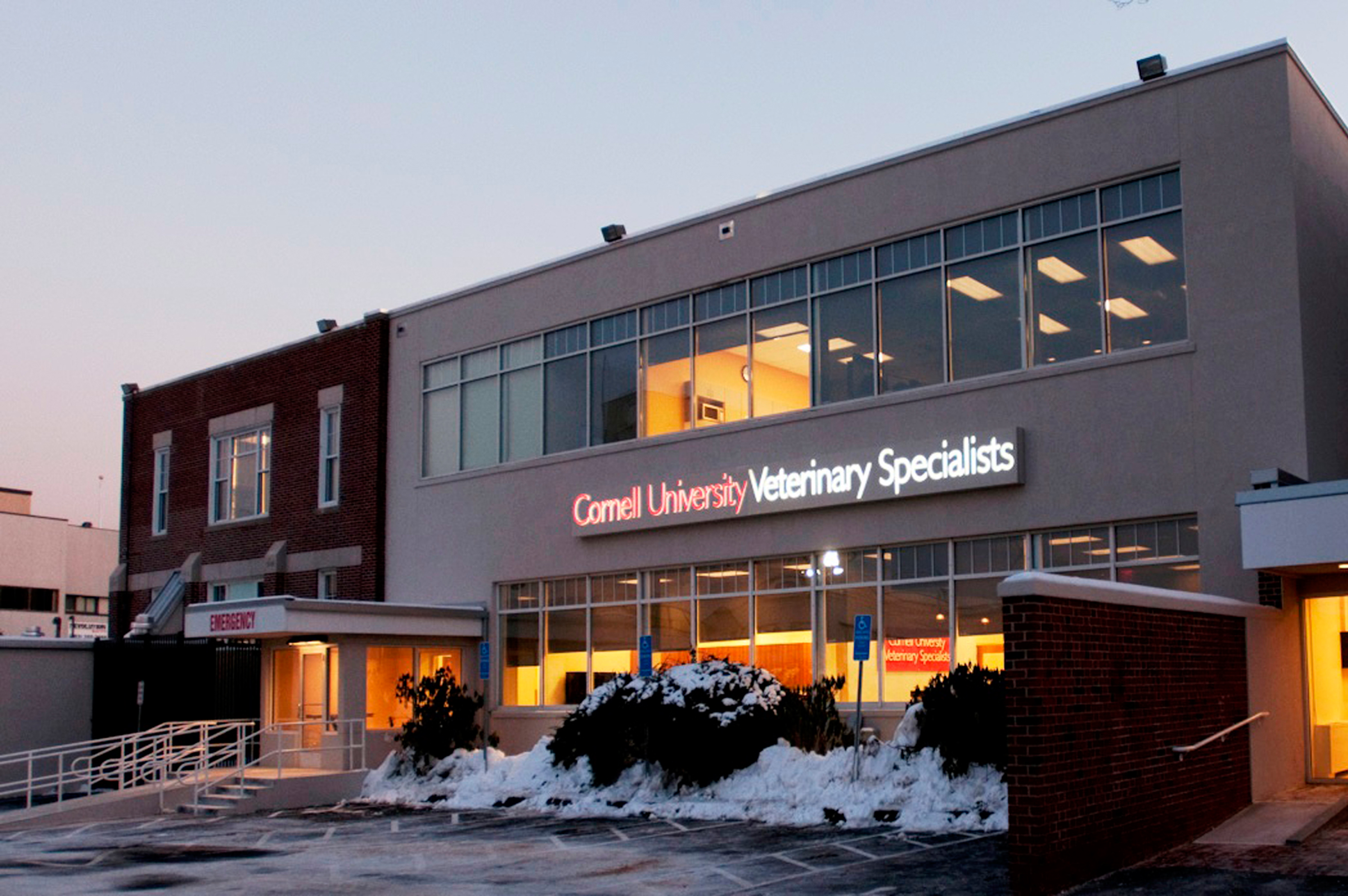 University Of Minnesota College Of Veterinary Medicine