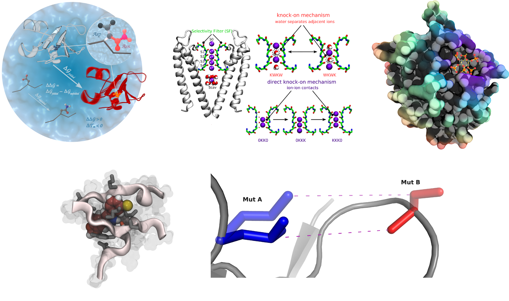 Computational biomolecular dynamics Research Projects