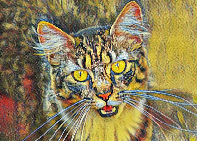 LunaPic Free Online Photo Editor