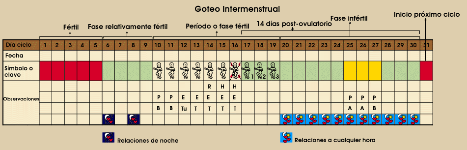Dia Fertil Despues De La Menstruacion Lina Fields