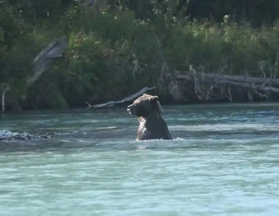 Expert Fisherman Alaska Rivers Company