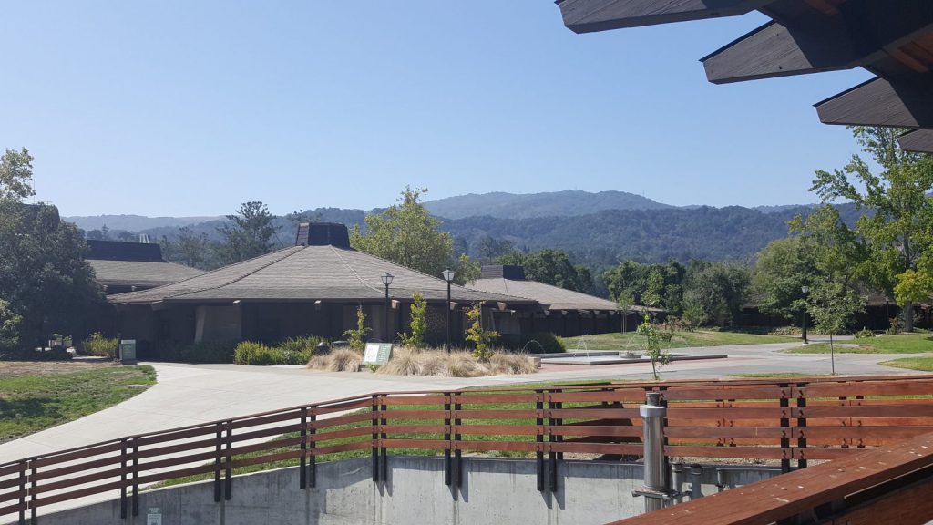 Fly kylan för studentliv i Silicon Valley i Kalifornien Blueberry