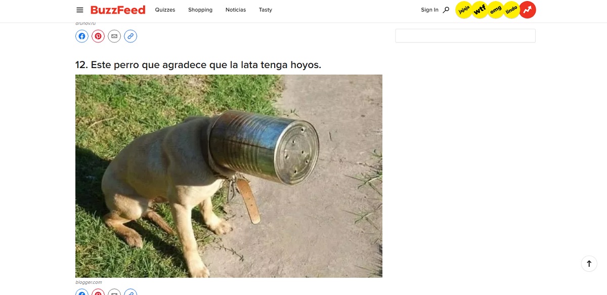 Sitios de memes gratis, para crear o compartir en las redes sociales