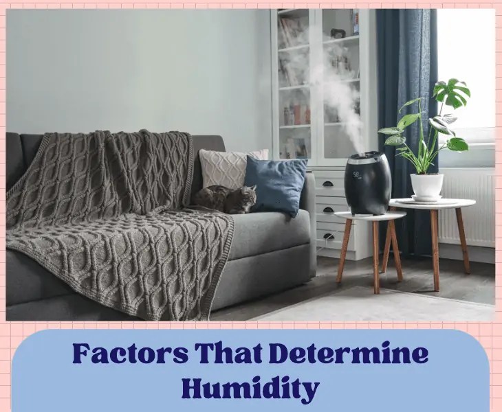 Humidifier Not Increasing Humidity? (Best Ways To Fix!)