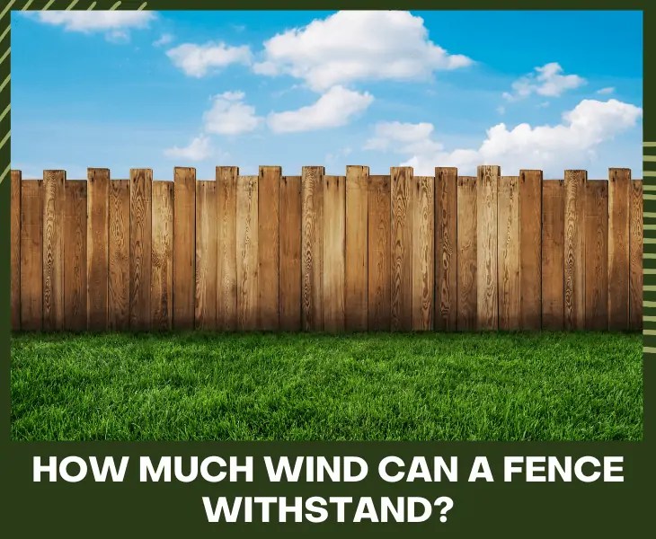 How To Brace A Fence Against Wind? (Easy Steps!)
