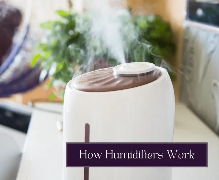 Will A Humidifier Work With A Ceiling Fan On? (Expert's View!)