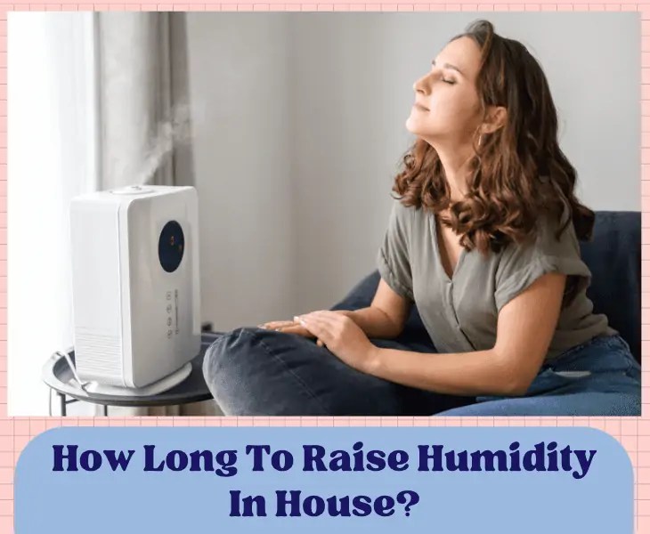 Humidifier Not Increasing Humidity? (Best Ways To Fix!)