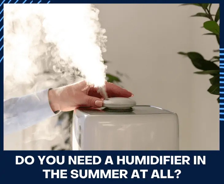 Do You Use Humidifier In Winter Or Summer? (Know Here!)