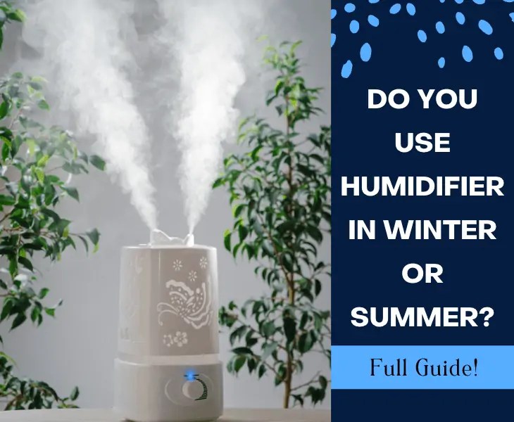 Do You Use Humidifier In Winter Or Summer? (Know Here!)