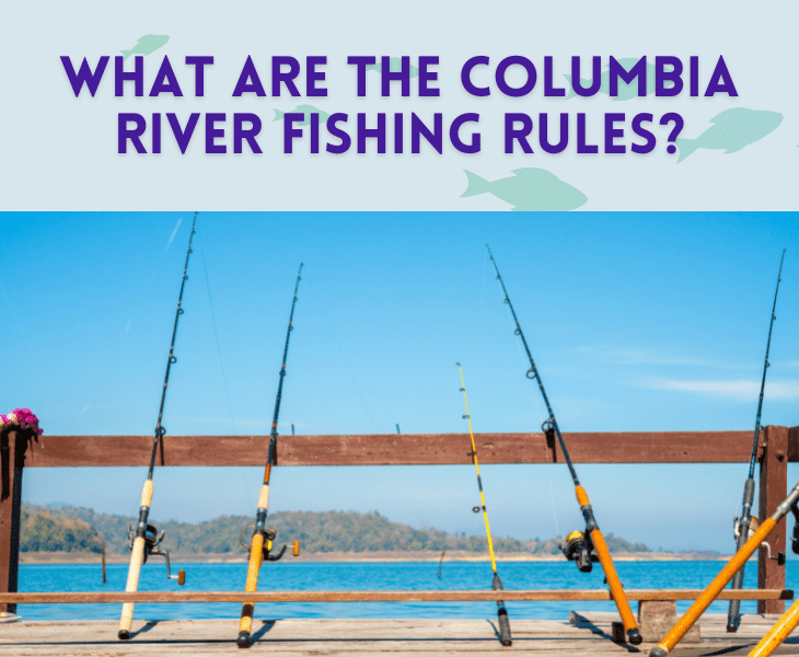 What Kind Of Fish Are In The Columbia River? (All Facts!)