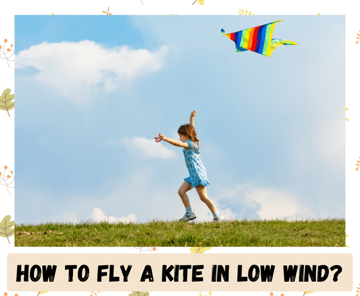 How To Fly A Kite In Low Wind? (Fool Proof Guide!)