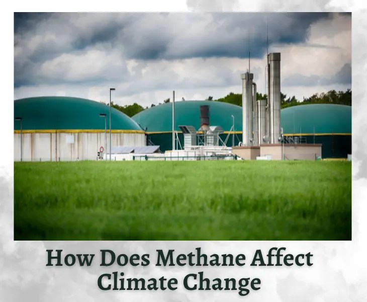 How Does Methane Affect Climate Change? (Expert's View!)