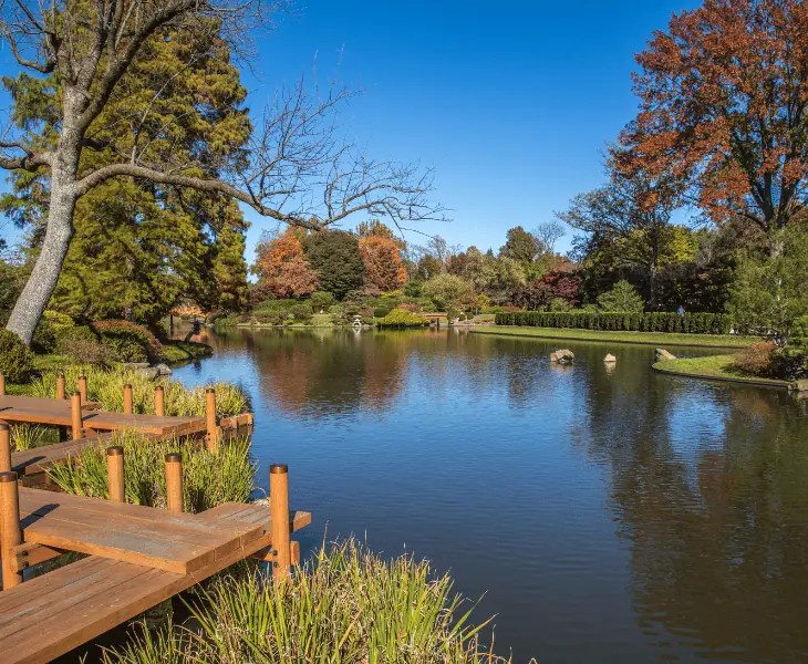 How to Keep a Pond Clean for Swimming? (Best Ways)