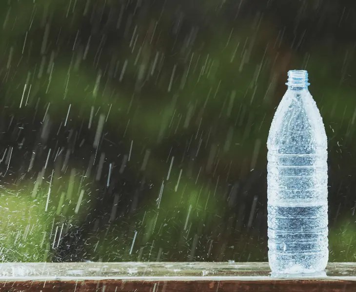 Is Rain Water Cleaner Than Tap Water? (Top Facts!)