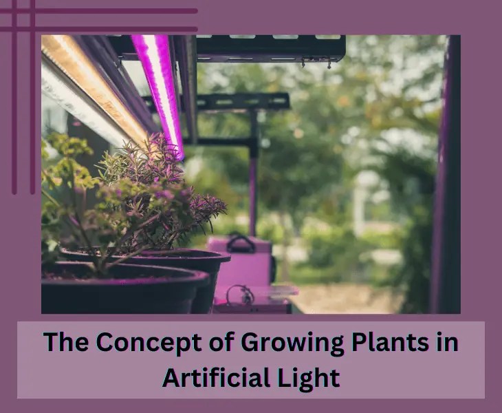 Can Plants Photosynthesize with LED Light or Not? (Facts)