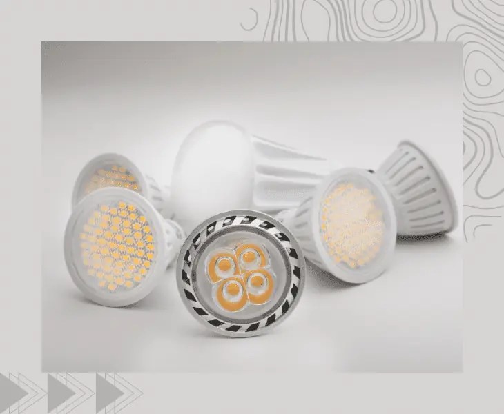 Can Plants Photosynthesize with LED Light or Not? (Facts)