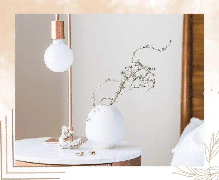 Can Plants Photosynthesize with LED Light or Not? (Facts)