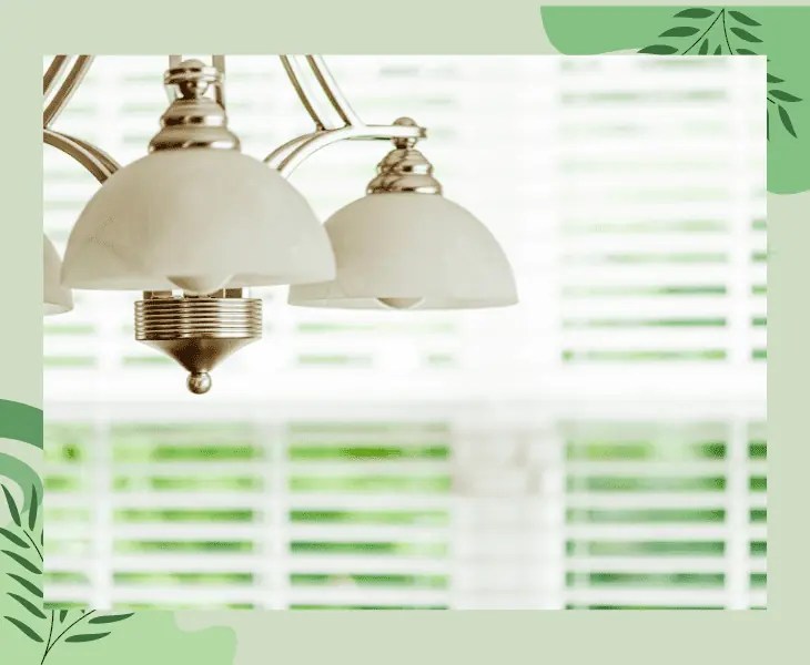 Can Plants Photosynthesize with LED Light or Not? (Facts)