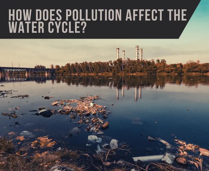 How Does Pollution Affect The Water Cycle? (Know Here!)