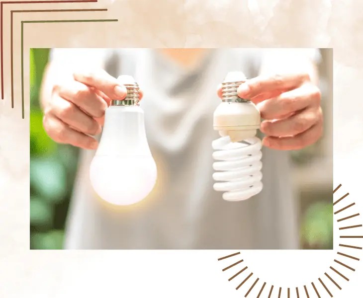 Can Plants Photosynthesize with LED Light or Not? (Facts)