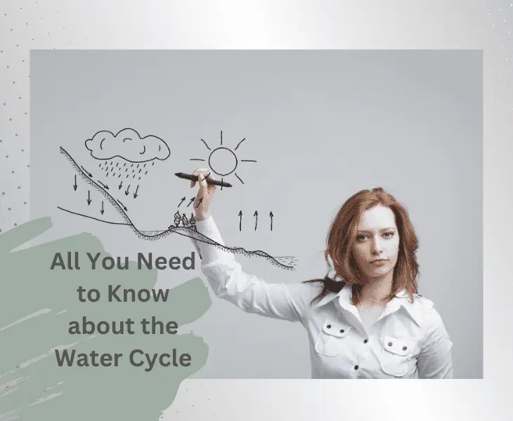 How Does Pollution Affect The Water Cycle? (Know Here!)