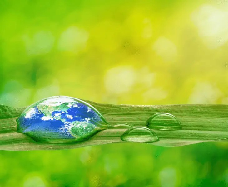 Is Rain Water Cleaner Than Tap Water? (Top Facts!)