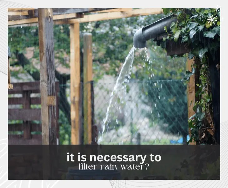 Is Rain Water Cleaner Than Tap Water? (Top Facts!)