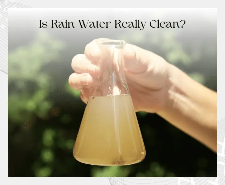 Is Rain Water Cleaner Than Tap Water? (Top Facts!)